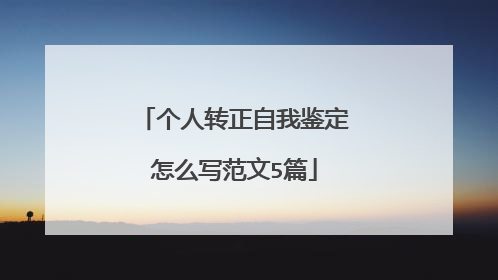 个人转正自我鉴定怎么写范文5篇