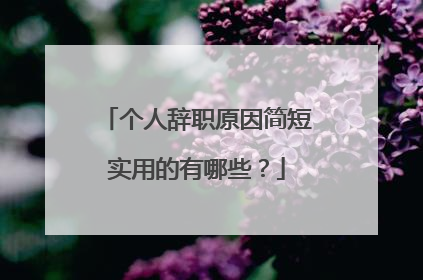 个人辞职原因简短实用的有哪些?