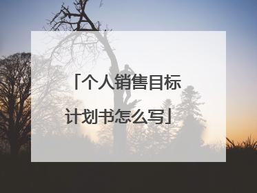 个人销售目标计划书怎么写