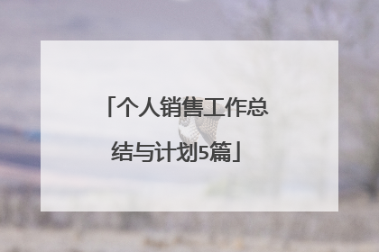 个人销售工作总结与计划5篇