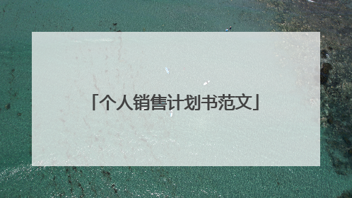个人销售计划书范文
