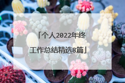 个人2022年终工作总结精选8篇