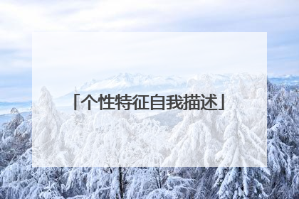 个性特征自我描述