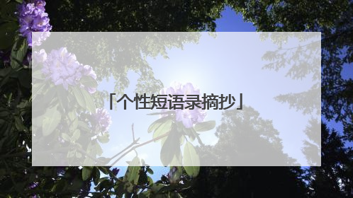 个性短语录摘抄
