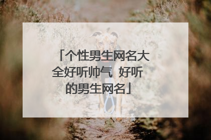 个性男生网名大全好听帅气 好听的男生网名