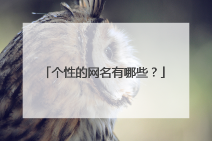 个性的网名有哪些?