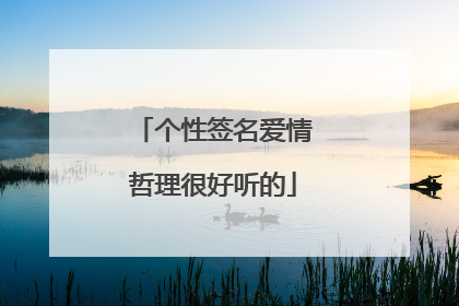 个性签名爱情哲理很好听的