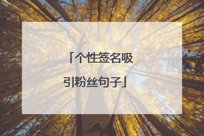 个性签名吸引粉丝句子