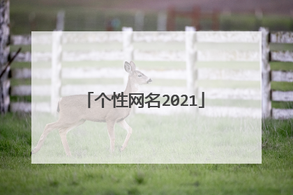 个性网名2021