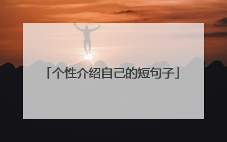 个性介绍自己的短句子