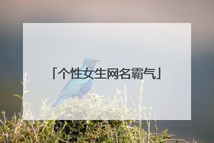 个性女生网名霸气