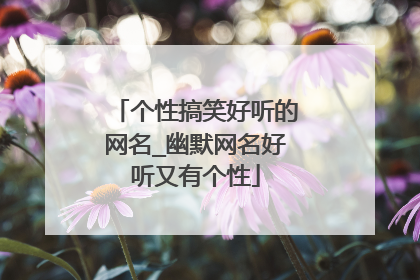 个性搞笑好听的网名_幽默网名好听又有个性