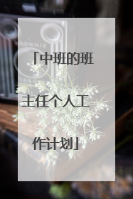 中班的班主任个人工作计划