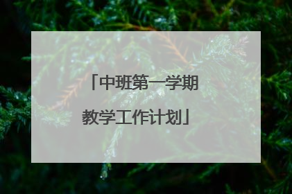 中班第一学期教学工作计划