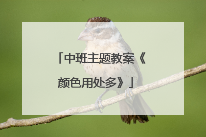 中班主题教案《颜色用处多》