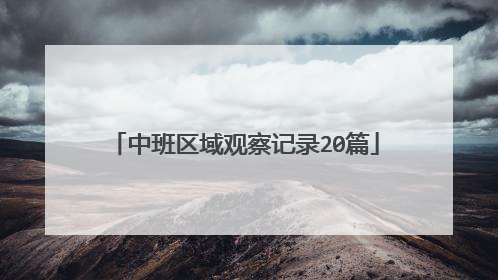 中班区域观察记录20篇