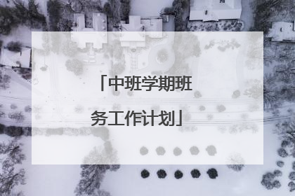 中班学期班务工作计划