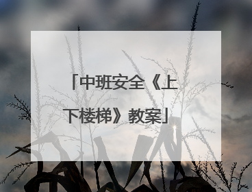 中班安全《上下楼梯》教案