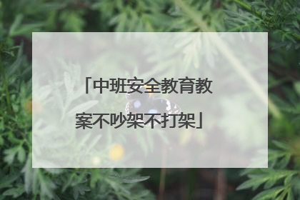 中班安全教育教案不吵架不打架