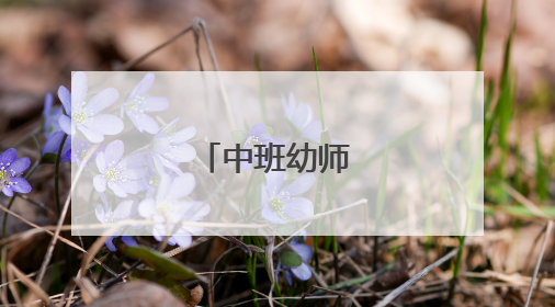 中班幼师教育随笔