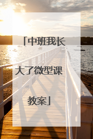 中班我长大了微型课教案