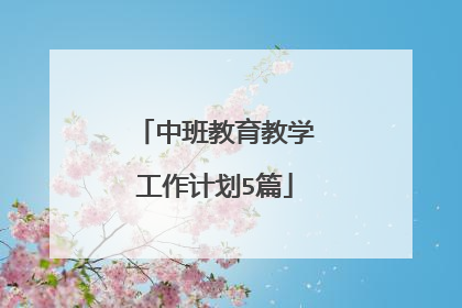中班教育教学工作计划5篇