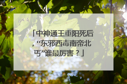 中神通王重阳死后,“东邪西毒南帝北丐”谁最厉害?