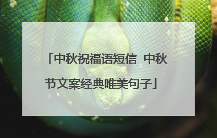 中秋祝福语短信 中秋节文案经典唯美句子