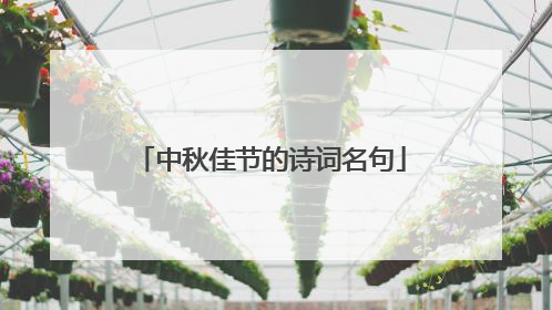 中秋佳节的诗词名句