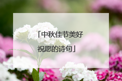 中秋佳节美好祝愿的诗句