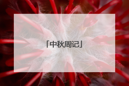 中秋周记