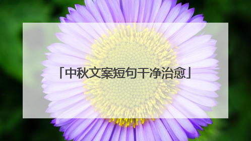 中秋文案短句干净治愈
