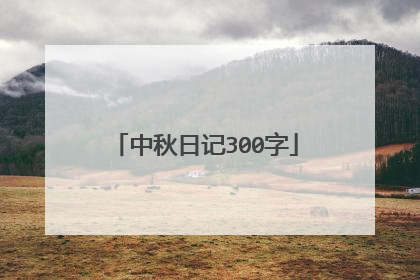 中秋日记300字