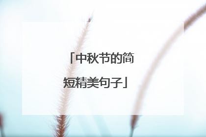 中秋节的简短精美句子