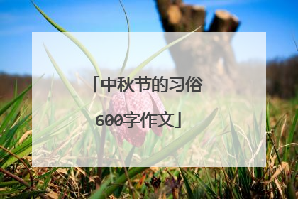 中秋节的习俗600字作文