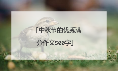 中秋节的优秀满分作文500字