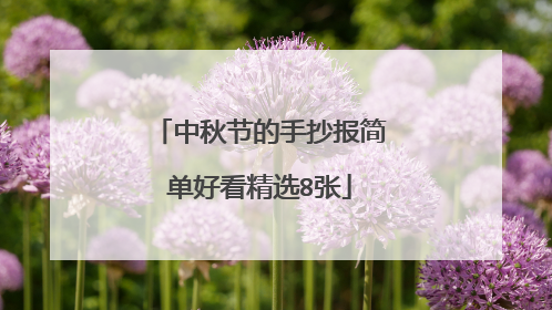 中秋节的手抄报简单好看精选8张