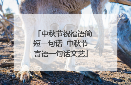 中秋节祝福语简短一句话 中秋节寄语一句话文艺