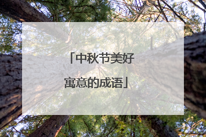 中秋节美好寓意的成语
