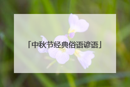 中秋节经典俗语谚语