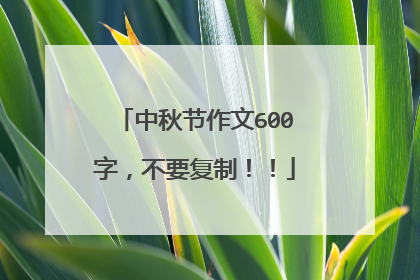 中秋节作文600字，不要复制！！