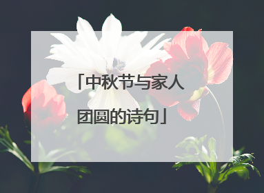 中秋节与家人团圆的诗句
