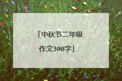 中秋节二年级作文300字