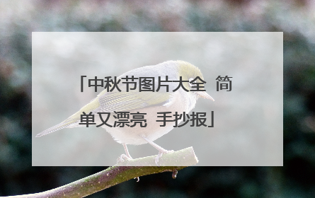 中秋节图片大全 简单又漂亮 手抄报