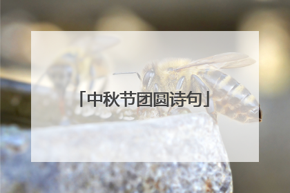 中秋节团圆诗句