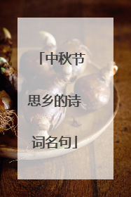 中秋节思乡的诗词名句