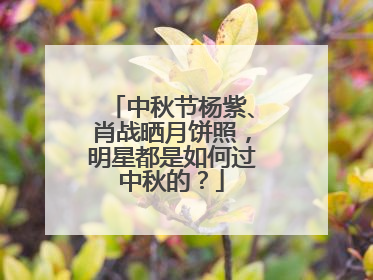 中秋节杨紫、肖战晒月饼照,明星都是如何过中秋的?