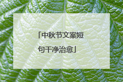 中秋节文案短句干净治愈