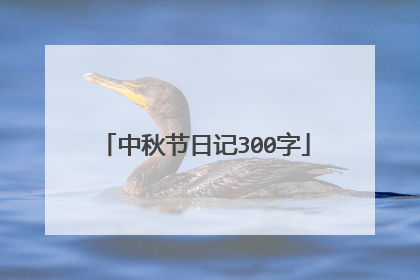 中秋节日记300字