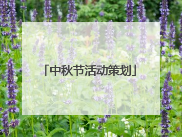 中秋节活动策划